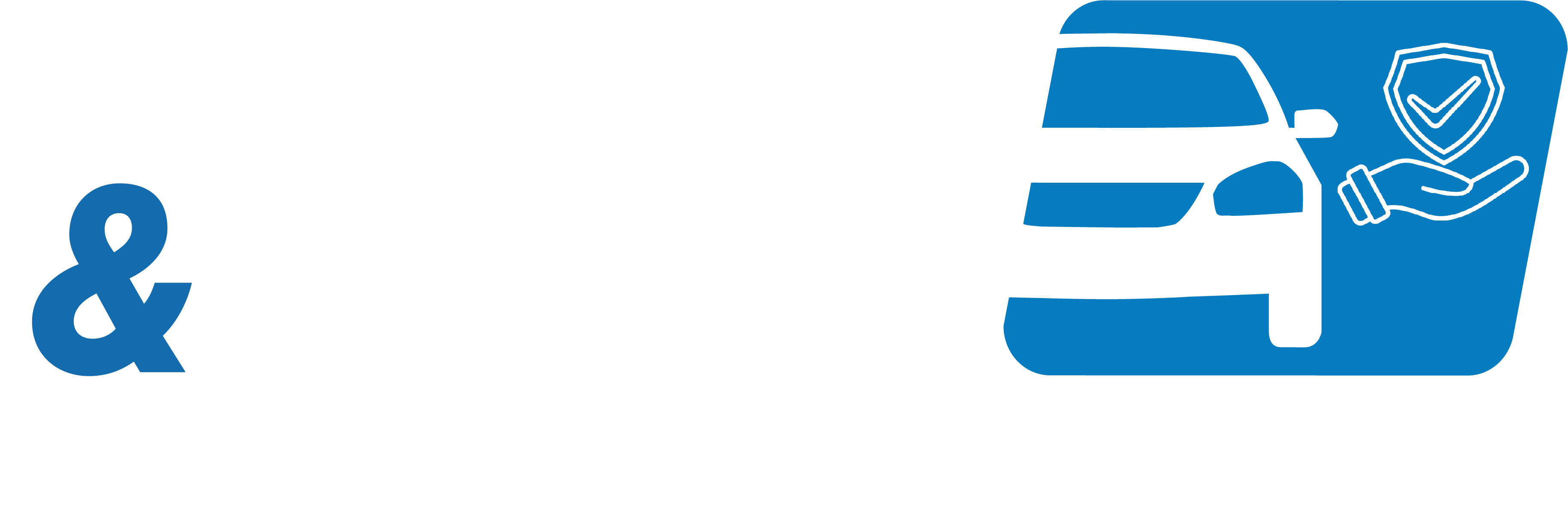 Schadensteuerung Icon